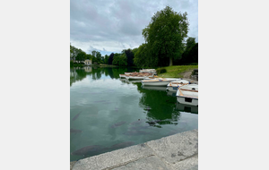 L' Etang aux Carpes